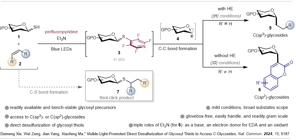 成都生物所开发可见光促进的糖基硫醇直接脱硫制备<em>C-</em>糖苷