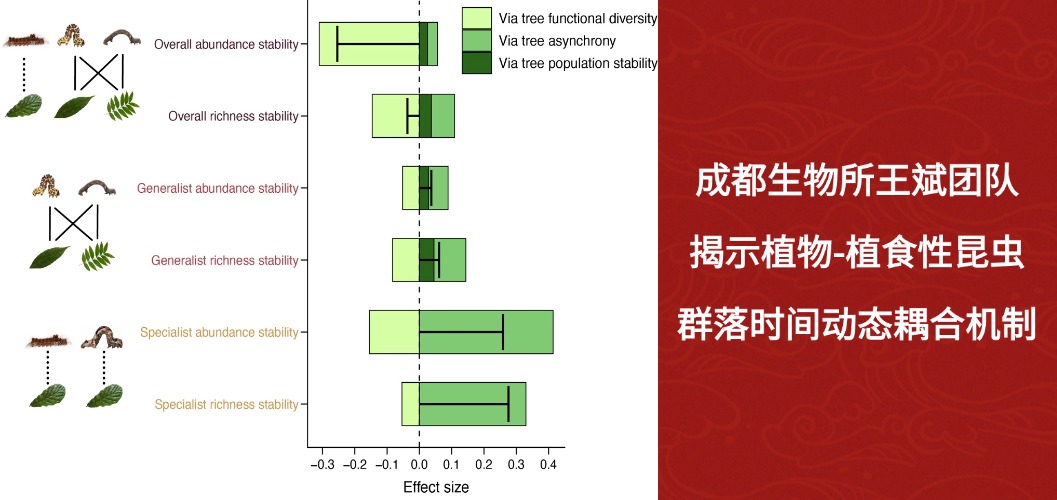 成都生物所王斌研究团队揭示植物-植食性昆虫群落时间动态耦合机制